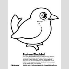 Each coloring page has some information about the bird and the color print out one of these fun birdorable coloring pages and grab your crayons! Eastern Bluebird Coloring Page Fun Free Downloads Activity Pages Birdorable