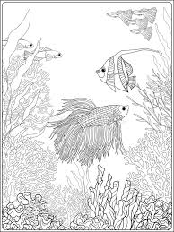 Underwater coloring pages printable view intricate coloring. Adult Coloring Under Sea Stock Illustrations 161 Adult Coloring Under Sea Stock Illustrations Vectors Clipart Dreamstime