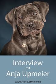 Im Gesprach Mit Anja Upmeier Fotografieren Lernen Leicht Gemacht Fotografieren Lernen Fotografen Ansel Adams