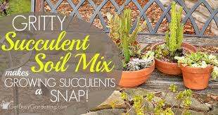Great savings free delivery / collection on many items. Gritty Soil Mix For Succulents Is It The Best Soil For Succulents