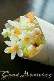 56 Best Good Morning Flowers Images Boom Sumo