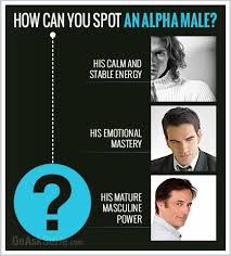 Any Way You Look At It Bow Hunting Is Hard Work It S Among The Oldest Forms Of Hunting And Although There S N Alpha Male Quotes Alpha Male Traits Alpha Male