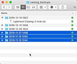 How can i change my lightroom catalog access path? End Of Year Housekeeping For Lightroom Classic Lightroom Killer Tips