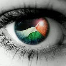 All (1843) photos (1841) videos (2) hotels (111) attractions. Change Your Profile Picture To A Free Palestine Photo Posts Facebook