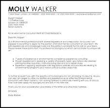 Cover Letter Template Consulting Resume Format Cover Letter For Resume Job Cover Letter Cover Letter Sample