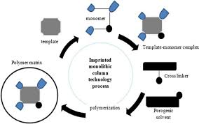 We did not find results for: Role Of Porogenic Solvent Type On The Performance Of A Monolithic Imprinted Column Springerlink