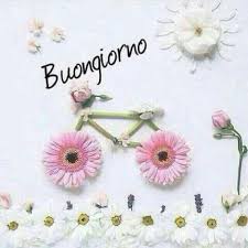 Visualizza altre idee su buongiorno fiori, buongiorno, fiori. Pin Di Juliette Pierens Su Buongiorno Arte Fiori Pressati Arte Del Fiore Immagini