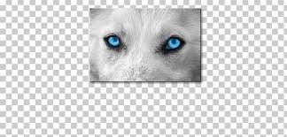 Peter Und Der Wolf Karneval Der Tiere Sergej Prokofjew Png Clipart Audiobook Blue Carnivoran Cat
