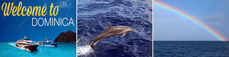 With liam cunningham, alex lanipekun, peter campion, kasia smutniak. Dominica Delfine Whale Watching Die Hauptstadt Roseau Dominica