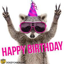 Sometimes, a unique and funny card could make her interested in than anything. Birthday Raccoon View The Popular Birthday Raccoon Ecard