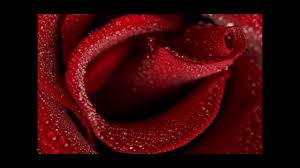 Another lonely night in new york. Robin Gibb Another Lonely Night In New York Hq Youtube