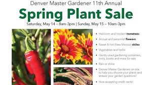 Due to limited flower availability, it may be necessary to make substitutions. Csu Denver Co Plant Sale Scheduled For May 14 15 The Grey Area News