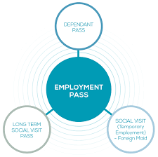 A professional visit pass (pvp) is issued to skilled foreign workers who provide services to a malaysian company on behalf of an overseas company on. Esd