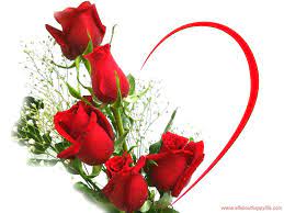 Check spelling or type a new query. Love Rose Hd Wallpapers Top Free Love Rose Hd Backgrounds Wallpaperaccess