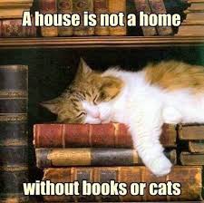 A House Is Not A Home Without Books Or Cats Or Dogs Also Cat Sleeping Cat Nap Crazy Cats
