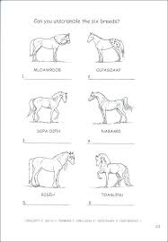 We did not find results for: Breyer Coloring Pages Coloring Pages Stablemates Coloring Activity Book Additional Photo Inside Page Free Hor Horse Coloring Horse Coloring Pages Breyer Horses