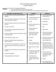 Each level of the hierarchy represents an increase in complexity that builds upon the previous level. Kami Export Roy Hughes Level Of Biological Organization Graphic Organizer 1 Pdf Levels Of Biological Organization Graphic Organizer Directions Course Hero