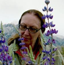 Donna Muller Obituary