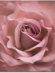 Gloria Jean Kirkpatrick Obituary June 8, 2012