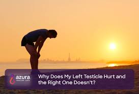 If the tumor is causing pain then it's probably a large tumor that has spread somewhere in the body.. Why Does My Left Testicle Hurt And The Right One Doesn T Azura