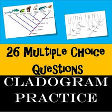 Cladogram High School Biology Teacher Resources Teacher