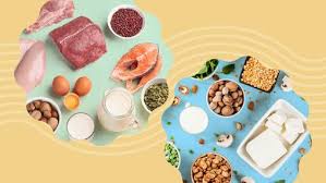 Image result for Protein