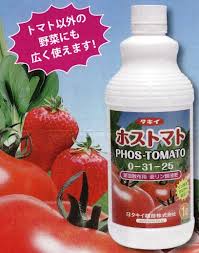 液体肥料 タキイ種苗 New ホストマト 葉面散布用亜リン酸液肥 1000ｃｃ 1 6ｋｇ 野菜と花の種 苗 緑肥の通販 野菜作り 家庭菜園なら 清水屋種苗園藝 商品詳細