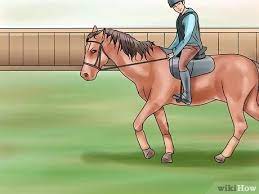 Check spelling or type a new query. Mit Einem Pferd Galoppieren Mit Bildern Wikihow