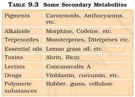 Vitamins And Minerals Deficiency Diseases Pmf Ias