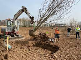 Freuen sie sich schon auf ihren traumgarten? Boettinger Garten Und Landschaftsbau