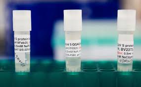 To create their vaccine, novavax researchers started with a modified spike. Novavax S 3 500 Surge On A Covid 19 Vaccine Faces First Test Bloomberg