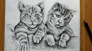 If you would like to read more about the commission, pop over to my dedicated pencil pet portraits website to read the story. How To Draw Cat With Pencil Sketch For Beginners Step By Step Easy Cat Drawing Animals Drawing Youtube