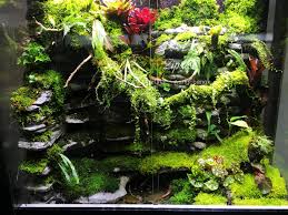 Https Www Flickr Com Photos Zipxxx Moss Garden Terrarium Orchids