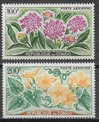 Image result for Cogniauxia podolaena