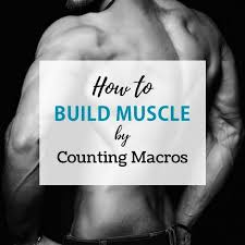 macros for gaining muscle and cutting fat