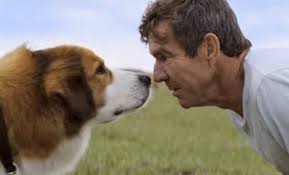 A DOG'S PURPOSE