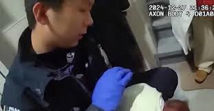 ART IS ALIVE IN SUNSET PARK