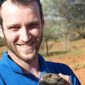 Gliding treefrogs, mini-males and burrowing frogs in trees: why Melanesia  is the world's tropical island frog hotspot