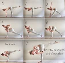 Pin By Daniela Penaloza On Yoga In 2020 Yoga Moves Yoga Asanas Yoga Benefits