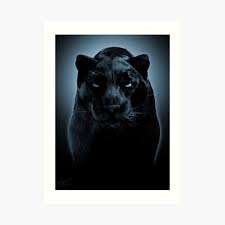Is the ring name of a mexican luchador enmascarado, or masked professional wrestler, formerly known as black panther. Blue Eyes Black Panther Art Print By Teambride Redbubble