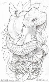 Best outline cross tattoo design. Grey Ink Apple Snake Tattoo Outline Design Segerios Com