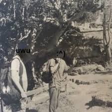 Stream Erick Casanova