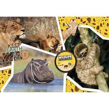 It teaches us to keep every phase of our lives in a harmonized manner. National Geographic Wildlife 104 Piece Jigsaw Puzzle The Works