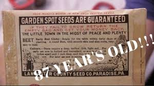 From 2 different sources i've got older tomato seeds. Sprouting 87 Year Old Vegetable Seeds Resurrecting Lost Genetics Youtube