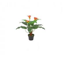 Shop for artificial plants and flowers in decor. Artificial Plants Hire Berlin Rent Artificial Trees