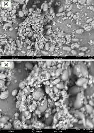 Image result for Picralima nitida