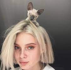 pinterest efronxd tiere katzen hubsche madchen