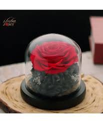 وردة ايلوبا روزز احمر طبيعية دائمة داخل فازة زجاجية desserts food cake