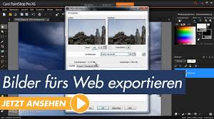 Bilder bearbeiten kann nicht so schwer sein. Corel Paintshop Pro Bilder Fur Das Web Exportieren Youtube