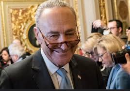 New Chuck Schumer admits Democrat-appointed judges are 'Activists' who were  put in place to stop Trump "We did put 235 judges, progressive judges,  judges not under the control of Trump, last year